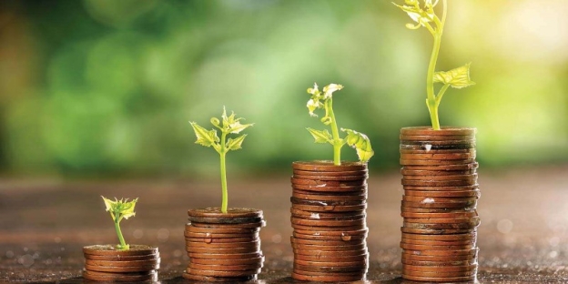 Coins stacked coins with plants growing out of them AI-generated content may be incorrect.